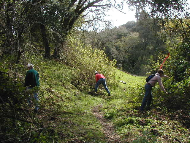 R-L: John , Tim and Eric grub poison oak