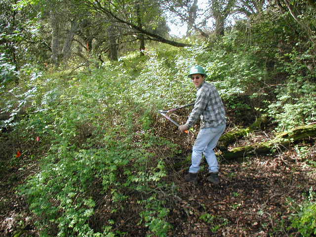 Dave C. in the poison oak